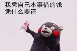 渭源专业讨债公司有哪些核心服务？